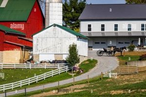 Discover The Amish Farm & House: Heritage & Traditions | The Conscious Farmer | Sustainable Agriculture for a Healthier Planet