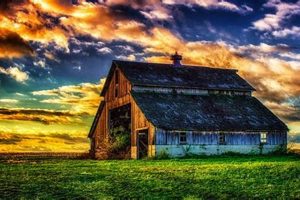 Rustic Charm: Farm House Wallpaper Ideas You'll Love! | The Conscious Farmer | Sustainable Agriculture for a Healthier Planet