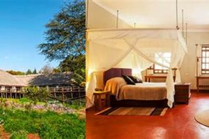 Discover Ngorongoro Farm House Karatu: Your Safari Getaway | The Conscious Farmer | Sustainable Agriculture for a Healthier Planet