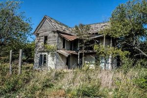 Texas Treasures: Abandoned Farm Houses For Sale - Deals! | The Conscious Farmer | Sustainable Agriculture for a Healthier Planet