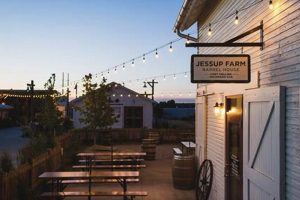 Discover Jessup Farm Barrel House: A Fort Collins Brew Gem | The Conscious Farmer | Sustainable Agriculture for a Healthier Planet