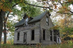 Michigan Abandoned Farm Houses For Sale: Deals & Dreams | The Conscious Farmer | Sustainable Agriculture for a Healthier Planet