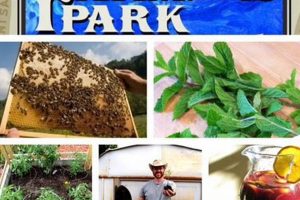 Your Guide to the Farmer's Park Experience & Benefits | The Conscious Farmer | Sustainable Agriculture for a Healthier Planet