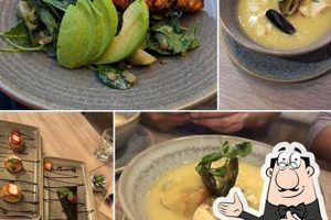 Discover West Park Farm and Sea: Coastal Farming Bliss | The Conscious Farmer | Sustainable Agriculture for a Healthier Planet