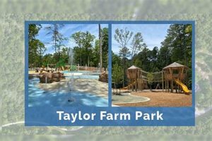 Your Local Taylor Park Farm: Produce & More! | The Conscious Farmer | Sustainable Agriculture for a Healthier Planet