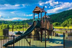 Best Wear for Farm, City & Park Photos: Style Guide | The Conscious Farmer | Sustainable Agriculture for a Healthier Planet