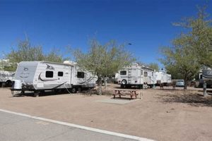 Mission Farms RV Park: Your [Location] Camping Escape! | The Conscious Farmer | Sustainable Agriculture for a Healthier Planet
