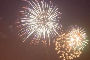 Your Guide: Wilson Farm Park Fireworks Show [Year]! | The Conscious Farmer | Sustainable Agriculture for a Healthier Planet