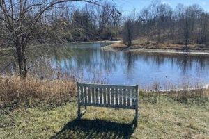 Explore Hisle Farm Park: Fun & Animals! | The Conscious Farmer | Sustainable Agriculture for a Healthier Planet