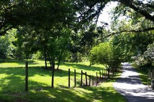 Explore McDaniel Farm Park Duluth: History & Fun! | The Conscious Farmer | Sustainable Agriculture for a Healthier Planet