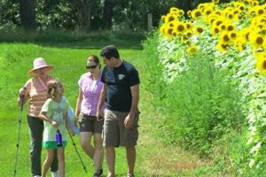 Explore Pope Farm Park Middleton: A Natural Escape | The Conscious Farmer | Sustainable Agriculture for a Healthier Planet