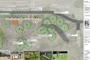 Create a Farm Pond Dog Park: Guide & Safety Tips | The Conscious Farmer | Sustainable Agriculture for a Healthier Planet