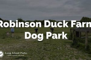 Your Guide to Robinson Duck Farm Dog Park Fun! | The Conscious Farmer | Sustainable Agriculture for a Healthier Planet