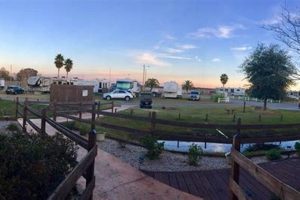 Stay at Magnolia Farms RV Park: Your Relaxing Getaway | The Conscious Farmer | Sustainable Agriculture for a Healthier Planet