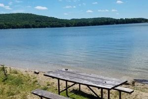 Explore Lake Farm County Park: Nature's Farm Oasis | The Conscious Farmer | Sustainable Agriculture for a Healthier Planet