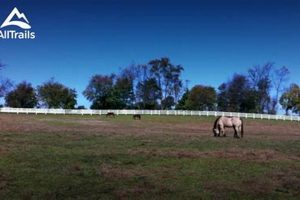 Visit: Carousel Farm Park Delaware - Fun & Animals! | The Conscious Farmer | Sustainable Agriculture for a Healthier Planet