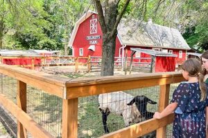 A Day at Plamann Park Children's Farm: Fun & Learning! | The Conscious Farmer | Sustainable Agriculture for a Healthier Planet