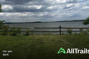Visit Spriggs Farm Park: [Your City] Nature & Fun! | The Conscious Farmer | Sustainable Agriculture for a Healthier Planet