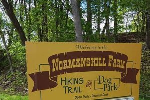 Normanskill Farm Dog Park: Your Furry Friend's Paradise | The Conscious Farmer | Sustainable Agriculture for a Healthier Planet