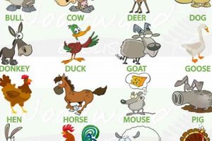 Unlocking Animal Farm Vocabulary: Orwell's Key Terms | The Conscious Farmer | Sustainable Agriculture for a Healthier Planet