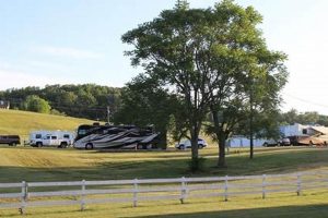 Your Guide: Dumplin Valley Farm RV Park & Nearby Fun! | The Conscious Farmer | Sustainable Agriculture for a Healthier Planet