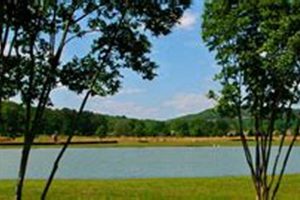 Visit Jones Farm Park: Fun &amp; Nature Awaits! | The Conscious Farmer | Sustainable Agriculture for a Healthier Planet
