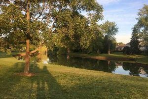 Explore Gray Farm Park & Conservation Area: A Nature Haven! | The Conscious Farmer | Sustainable Agriculture for a Healthier Planet