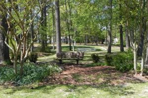 Visit Bayville Farms Park: First Court Road Fun! | The Conscious Farmer | Sustainable Agriculture for a Healthier Planet