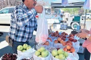 Your Guide: Utah Farm Bureau Farmers Market at Murray Park + Tips | The Conscious Farmer | Sustainable Agriculture for a Healthier Planet