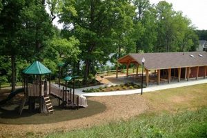 Visit Seagroves Farm Park: A Fun Farm Day Out! | The Conscious Farmer | Sustainable Agriculture for a Healthier Planet