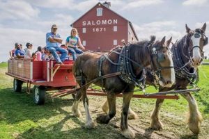 Explore Salomon Farm Park: A Local Gem | The Conscious Farmer | Sustainable Agriculture for a Healthier Planet