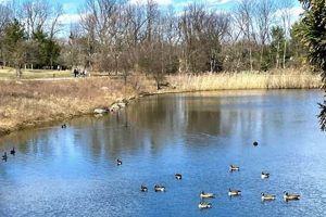 Prevent Wilson Farm Park Drowning: Safety Tips | The Conscious Farmer | Sustainable Agriculture for a Healthier Planet