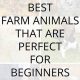 Top Easiest Farm Animal to Take Care of for Beginners? | The Conscious Farmer | Sustainable Agriculture for a Healthier Planet