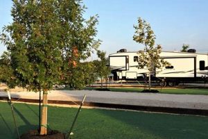 Your Smith Farms RV Park Getaway: Relax & Explore! | The Conscious Farmer | Sustainable Agriculture for a Healthier Planet