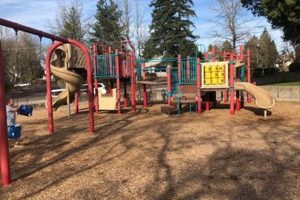 Visit Holly Farm Park: Your Local Green Escape | The Conscious Farmer | Sustainable Agriculture for a Healthier Planet