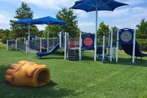 Visit Cross Farm Park | Fun &amp; Nature Await! | The Conscious Farmer | Sustainable Agriculture for a Healthier Planet