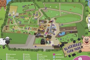 Guide to Blackberry Farm Parking: Tips & Info | The Conscious Farmer | Sustainable Agriculture for a Healthier Planet