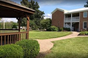Visit Gilbert Farms Park: Fun at the Farm! | The Conscious Farmer | Sustainable Agriculture for a Healthier Planet