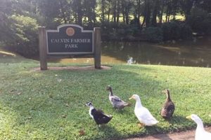 Discover Calvin Farmer Park: Your Community Green Escape! | The Conscious Farmer | Sustainable Agriculture for a Healthier Planet