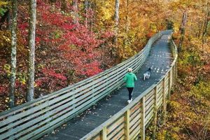 Visit Greenway Farms Dog Park Hixson, TN | Play Time! | The Conscious Farmer | Sustainable Agriculture for a Healthier Planet