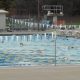 Cool Off! Heather Farm Park Pool Fun &amp; More | The Conscious Farmer | Sustainable Agriculture for a Healthier Planet