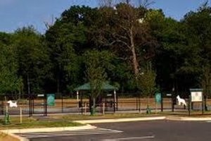Unleash Joy: Dog Park at King Farm Oasis! | The Conscious Farmer | Sustainable Agriculture for a Healthier Planet