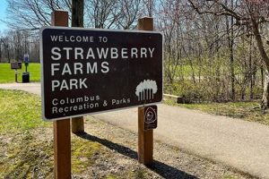 Visit Strawberry Farms Park: A Family Fun Destination | The Conscious Farmer | Sustainable Agriculture for a Healthier Planet