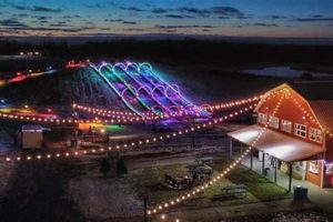 Explore Bowers Farm Winter Park Photos: A Visual Journey | The Conscious Farmer | Sustainable Agriculture for a Healthier Planet