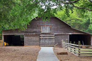 Visit McDaniel Farm Park: History & Fun! | The Conscious Farmer | Sustainable Agriculture for a Healthier Planet