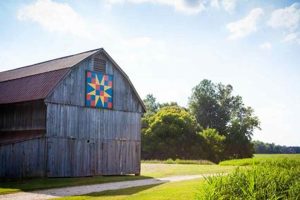 Visit Friendship Farm Park: Animals, Fun & More! | The Conscious Farmer | Sustainable Agriculture for a Healthier Planet