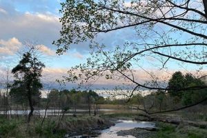 Discover Green Farm Conservation Park: Nature's Haven | The Conscious Farmer | Sustainable Agriculture for a Healthier Planet