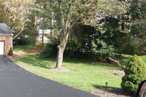 Visit Ditto Farms Regional Park: Your Farm Park Escape! | The Conscious Farmer | Sustainable Agriculture for a Healthier Planet