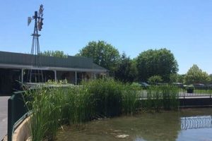 Visit Fondulac Farm Park: Fun & Education Await! | The Conscious Farmer | Sustainable Agriculture for a Healthier Planet