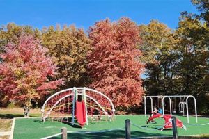 Visit Muddy Hole Farm Park: Animals & Trails! | The Conscious Farmer | Sustainable Agriculture for a Healthier Planet